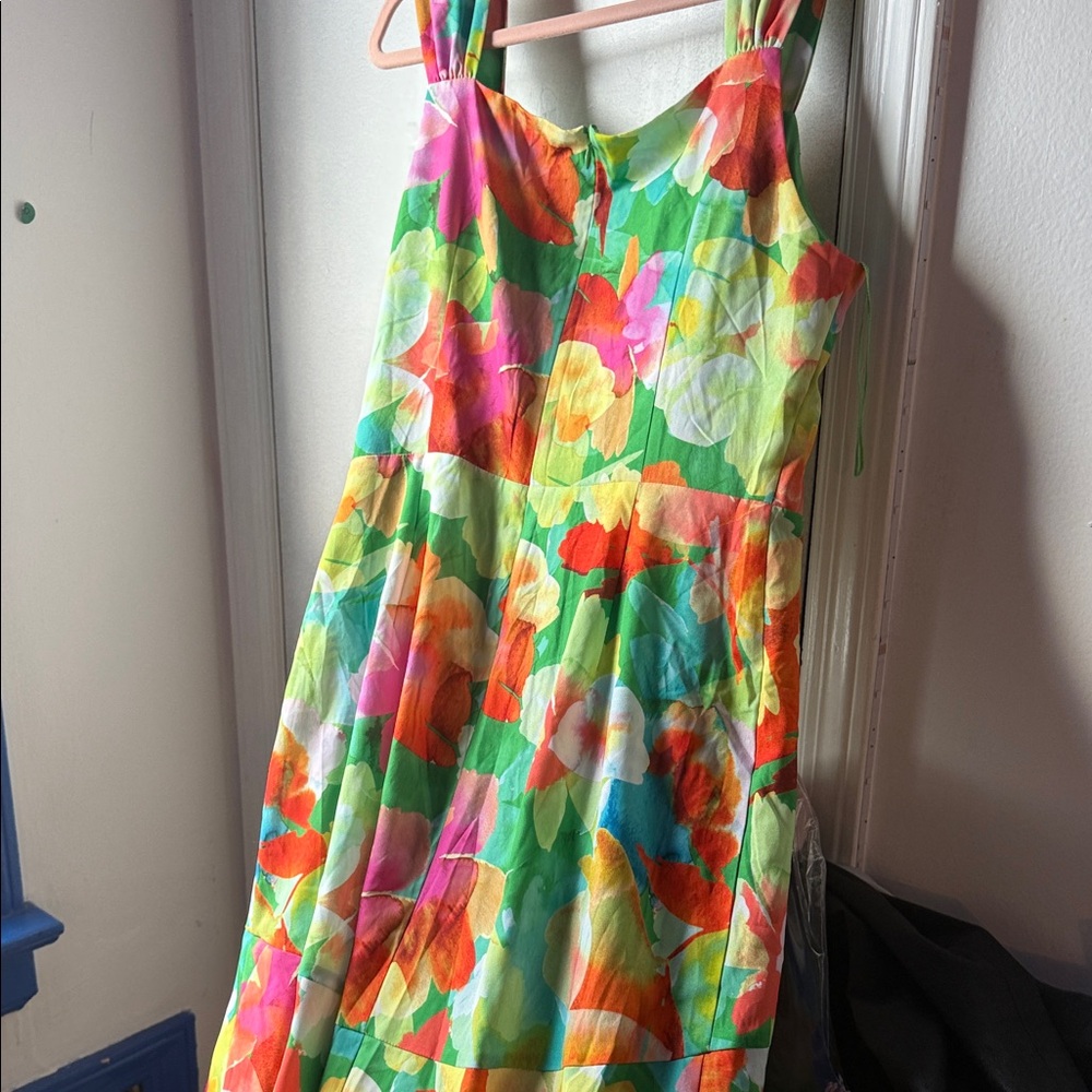 Adrianna Papell Green and Pink Floral Dress